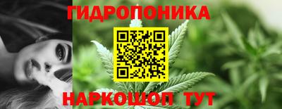 apvp Партизанск