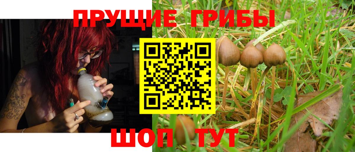 Сердобск  Псилоцибиновые грибы Cubensis  купить наркотик  Вход с VPN 